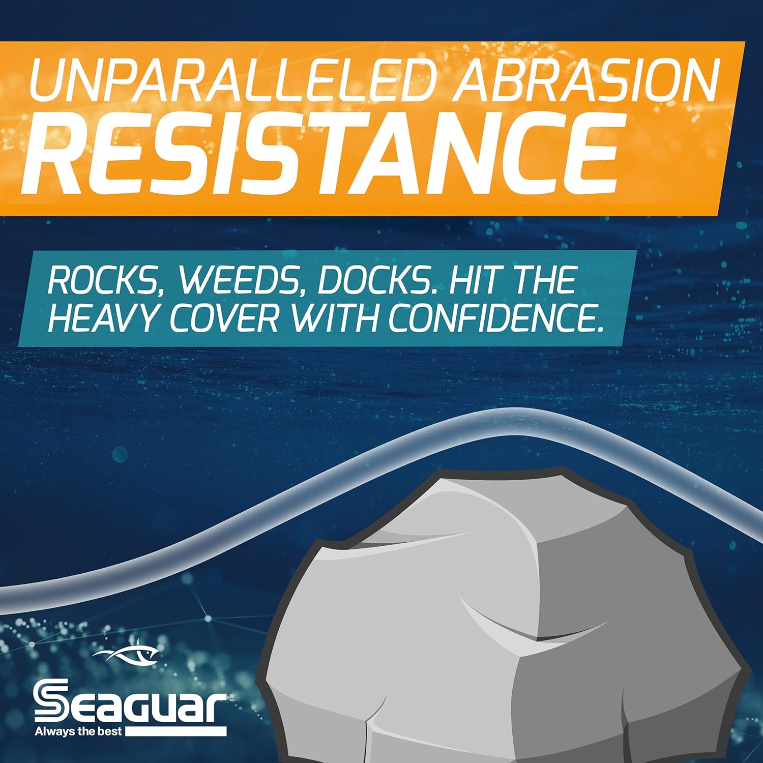 Seaguar Blue Label Fishing Leader Line for Saltwater, 100% Fluorocarbon, Clear, Multiple Sizes - Image 3