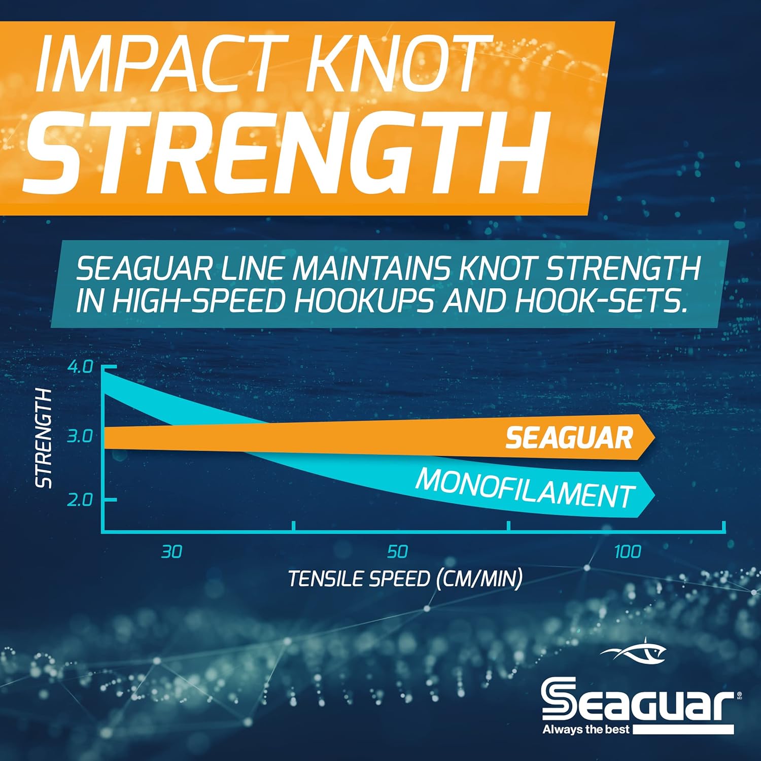 Seaguar Blue Label Fishing Leader Line for Saltwater, 100% Fluorocarbon, Clear, Multiple Sizes - Image 4